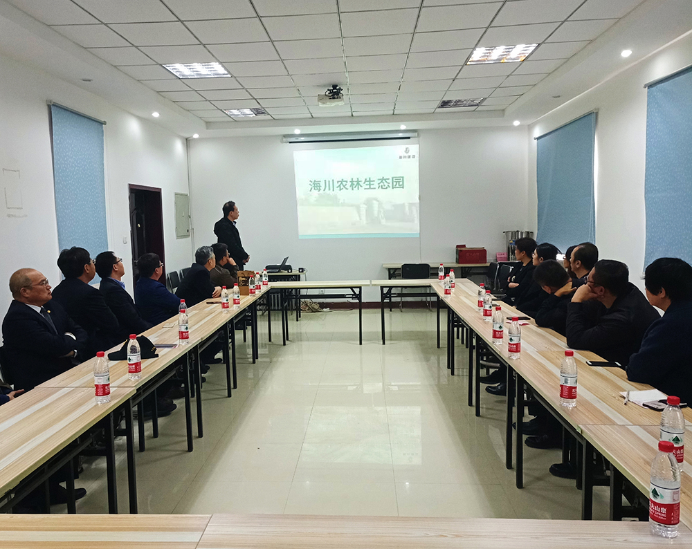 1554360641191921pCF1.jpg 11111.jpg