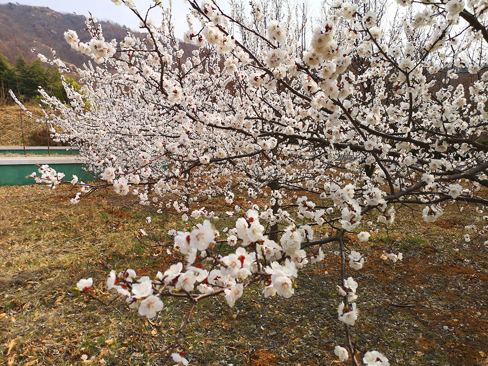 1554361346961846pD0F.jpg 微信圖片_2019032714022813_看圖王.jpg