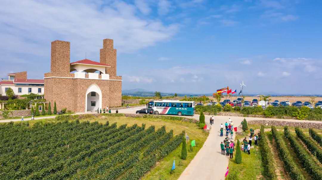 1600237914132641185C.jpg afa7f543-e9a1-4a1d-ac40-e41bd2b965f6.jpg