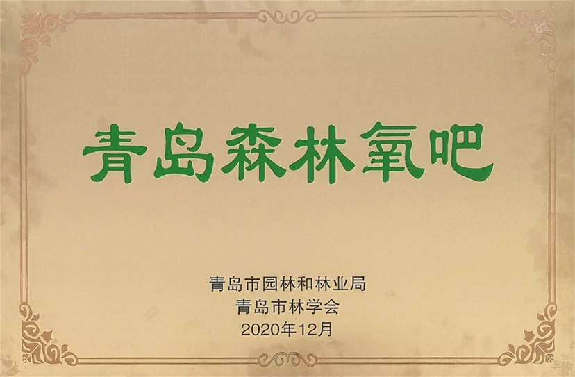 1629850889982458p992.png 6.png